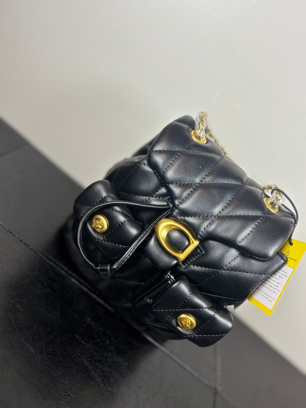 Phoenix Book Bag
