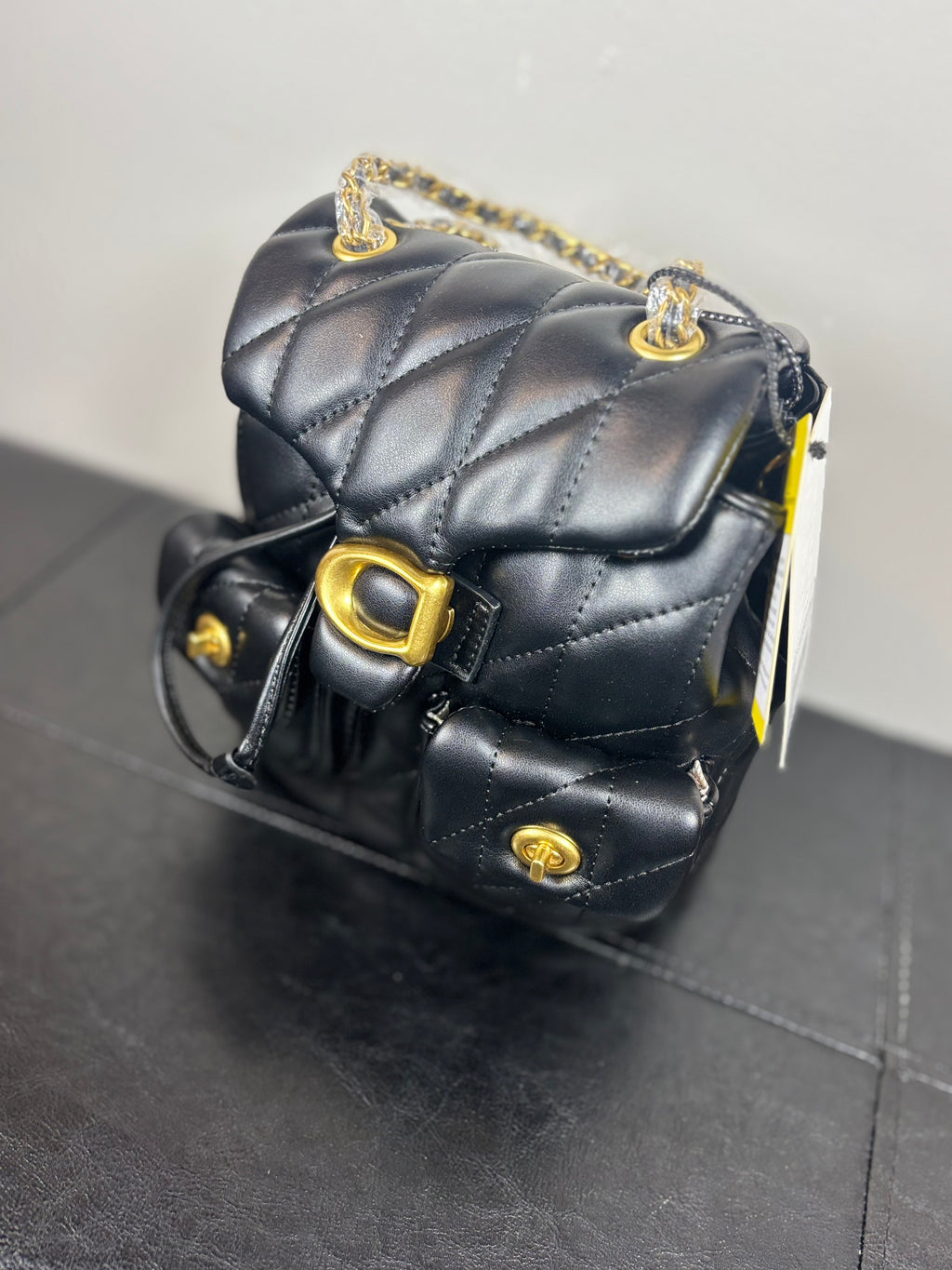 Phoenix Book Bag