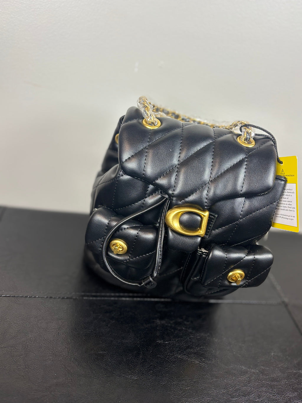 Phoenix Book Bag